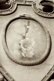 o_23_alphabet_art_photography_prints_sepia